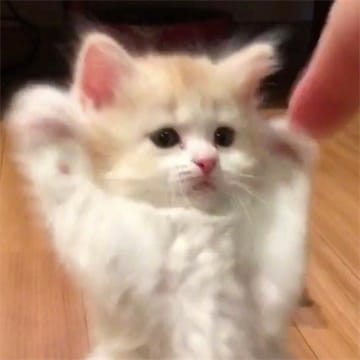 Người dùng Aditya